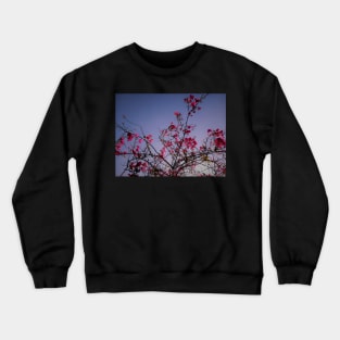 Beautiful summer pink flowers Crewneck Sweatshirt